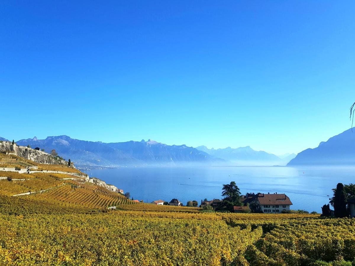 Montreux Holiday Home Exterior foto